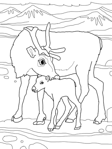 Baby Reindeer With Mother Coloring Page